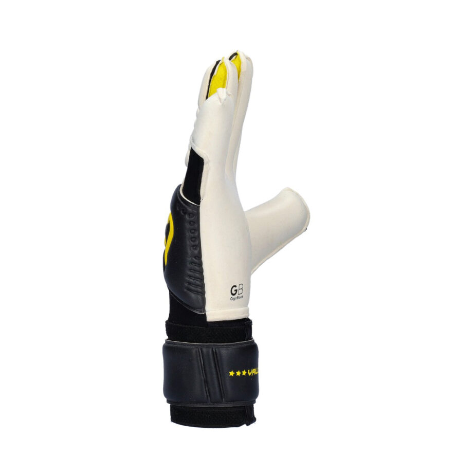 Valor Pro